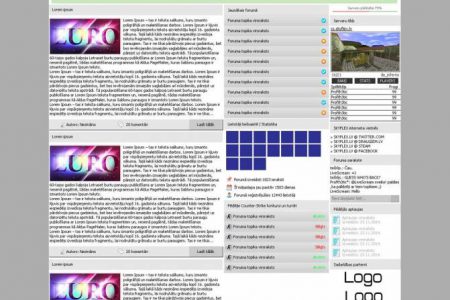 SKYFLEX mājaslapas dizains un izstrāde