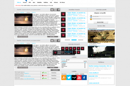 SKYFLEX GAMING mājaslapas izstrāde